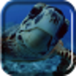 Icon of program: Sea Turtle Live Wallpaper