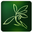 Blumind icon