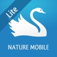 Icon of program: iKnow Birds 2 LITE - The …