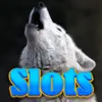 Icon of program: Howling Wolf Slots - Play…