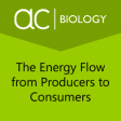 Icon of program: The Energy Flow