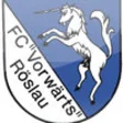 Icon of program: 1. FC Vorwrts Rslau
