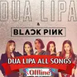 Icon of program: Dua Lipa Songs Offline ( …
