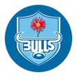 Icon of program: Blue Bulls