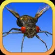 Icon of program: Angry Flies