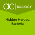 Icon of program: Hidden Heroes: Bacteria