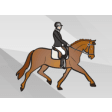 Icon of program: Equestrian English Horse …