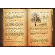 Icon of program: Book of Shadows White Wic…