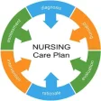 Icon of program: Nursing Care Plan NANDA T…