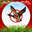 Icon of program: Duck Hunting 3D:Classic s…