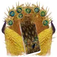 Icon of program: Golden Peacock Feather La…