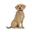 Icon of program: Brave Puppy : Dog Trainin…