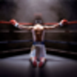 Icono de programa: Boxing Videos Daily for W…