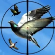 Icon of program: Flying Birds Hunting Duck…