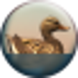 Icon of program: Fog Lake Screensaver and …
