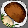 Icon of program: The Mushroom Book