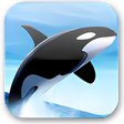 Icon of program: Orca Browser