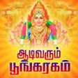 Icon of program: Aadi Varum Poogaragam - T…