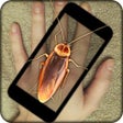Icon of program: Cockroach Hand Funny Pran…