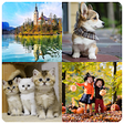 Icono de programa: Realistic jigsaw puzzle