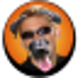 Icon of program: Look Like Puppy or Koala