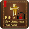Icono de programa: New American Standard Bib…