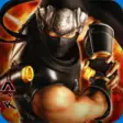 Icon of program: Ninja Gaiden II for Windo…