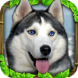 Icono de programa: Stray Dog Simulator