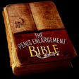 Icon of program: PE Bible Review PDF eBook…
