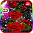 Icon of program: Beautiful flowers and ros…