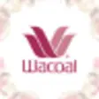 Icon of program: Wacoal Hong Kong