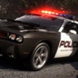 Icon of program: Police Parking
