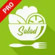Icon of program: Yummy Salad Recipes Pro