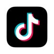 Icon of program: TikTok - including musica…