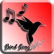 Icon of program: Canto de Pssaros - Mais d…
