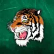 Icon of program: Tiger411