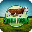 Icon of program: Cattle Forum