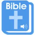 Icon of program: The Audio Bible