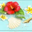 Icon of program: Cute Theme-Tropical Hibis…