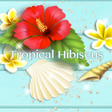 Icono de programa: Cute Theme-Tropical Hibis…