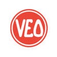 Icon of program: VEO - Video Enhanced Obse…