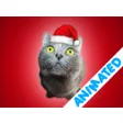 Icon of program: Cute Christmas Cats (anim…