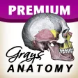 Icon of program: Gray's Anatomy Premium Ed…