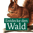 Icon of program: Die kleine Waldfibel