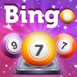 Icon of program: Bingo by GameDesire