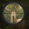 Icono de programa: Wild Hunting : Free wild …