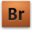 Icono de programa: Bridge Crossing