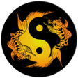 Icon of program: Acupuncture Assistant