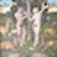 Icon of program: Nude