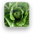 Icono de programa: Simply Raw